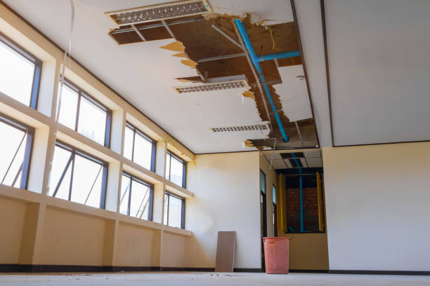 Best Water damage restoration company  in Sussex, WI