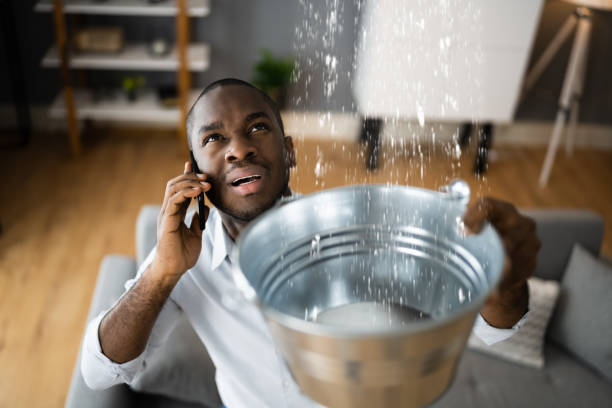 Best 24-hour water damage restoration  in Sussex, WI