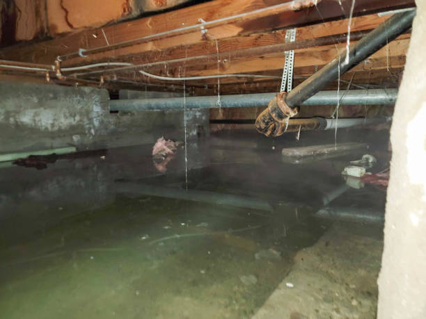 Best 24/7 water damage repair  in Sussex, WI