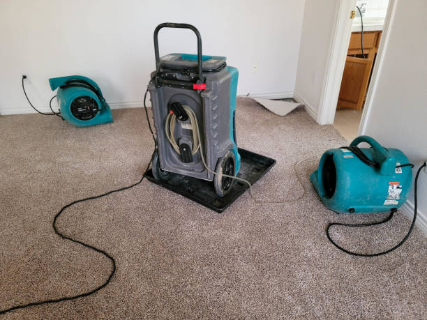Best Basement water damage restoration  in Sussex, WI