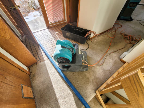 24/7 water damage repair in Sussex, WI