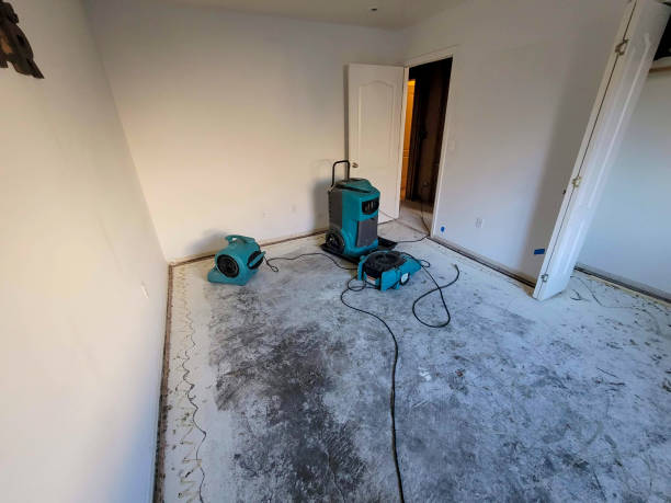 Best Sewage cleanup and water damage restoration  in Sussex, WI