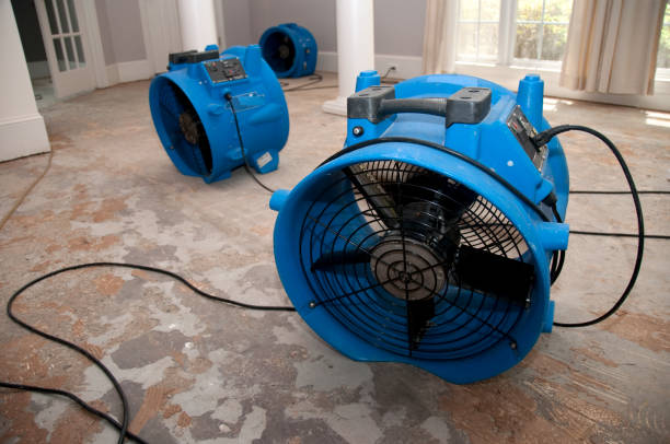 Best Fire Damage Restoration  in Sussex, WI