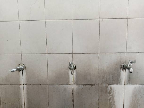 Best Residential water damage restoration  in Sussex, WI