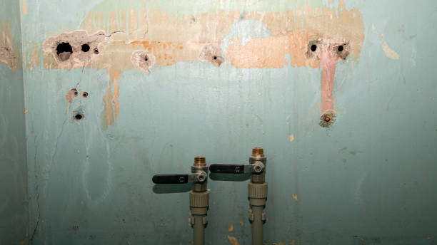 Best Flood restoration services  in Sussex, WI