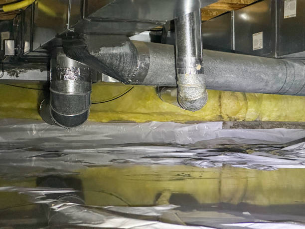 Best Water damage contractors near me  in Sussex, WI