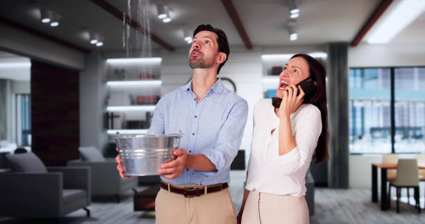 Best Water damage repair service  in Sussex, WI