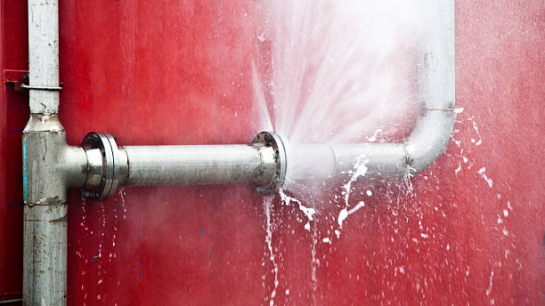 Best Flood damage cleanup  in Sussex, WI